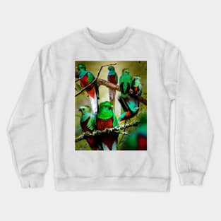 Quetzal Crewneck Sweatshirt